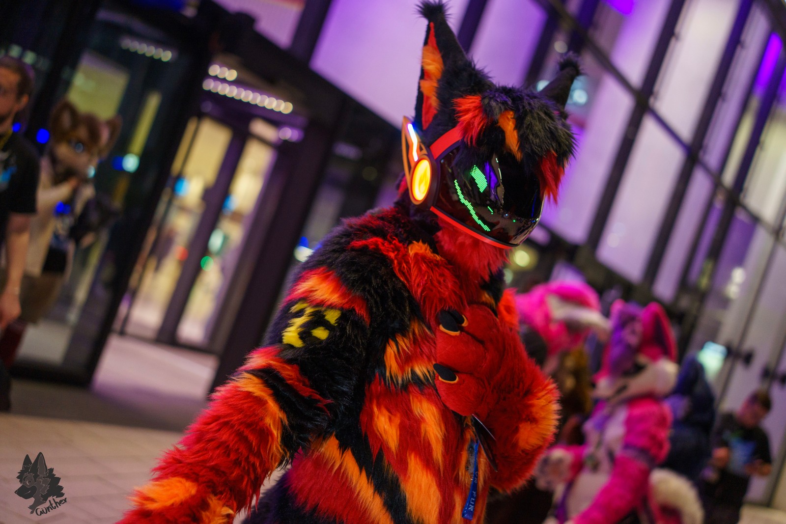 Firefox / Karrigallu