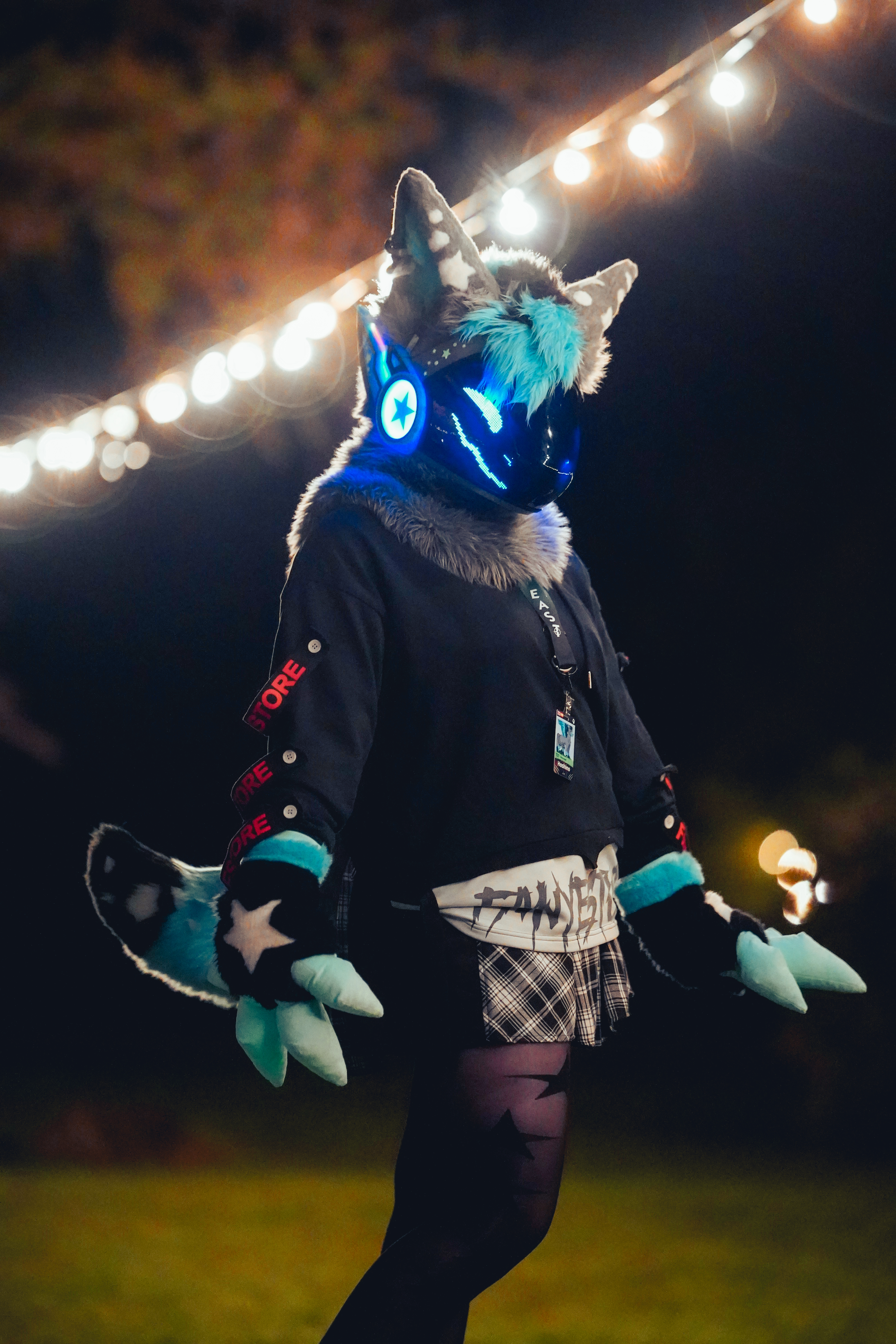H0sh1n0 / Tschipaw